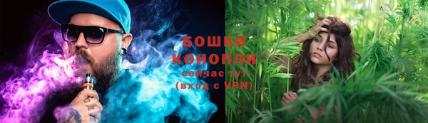 прущая мука Новодвинск