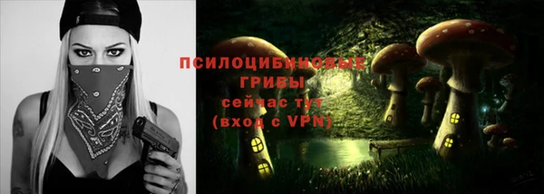 прущая мука Новодвинск
