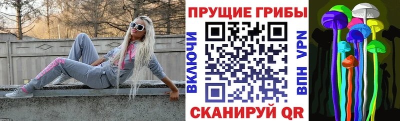 Псилоцибиновые грибы Psilocybe Задонск